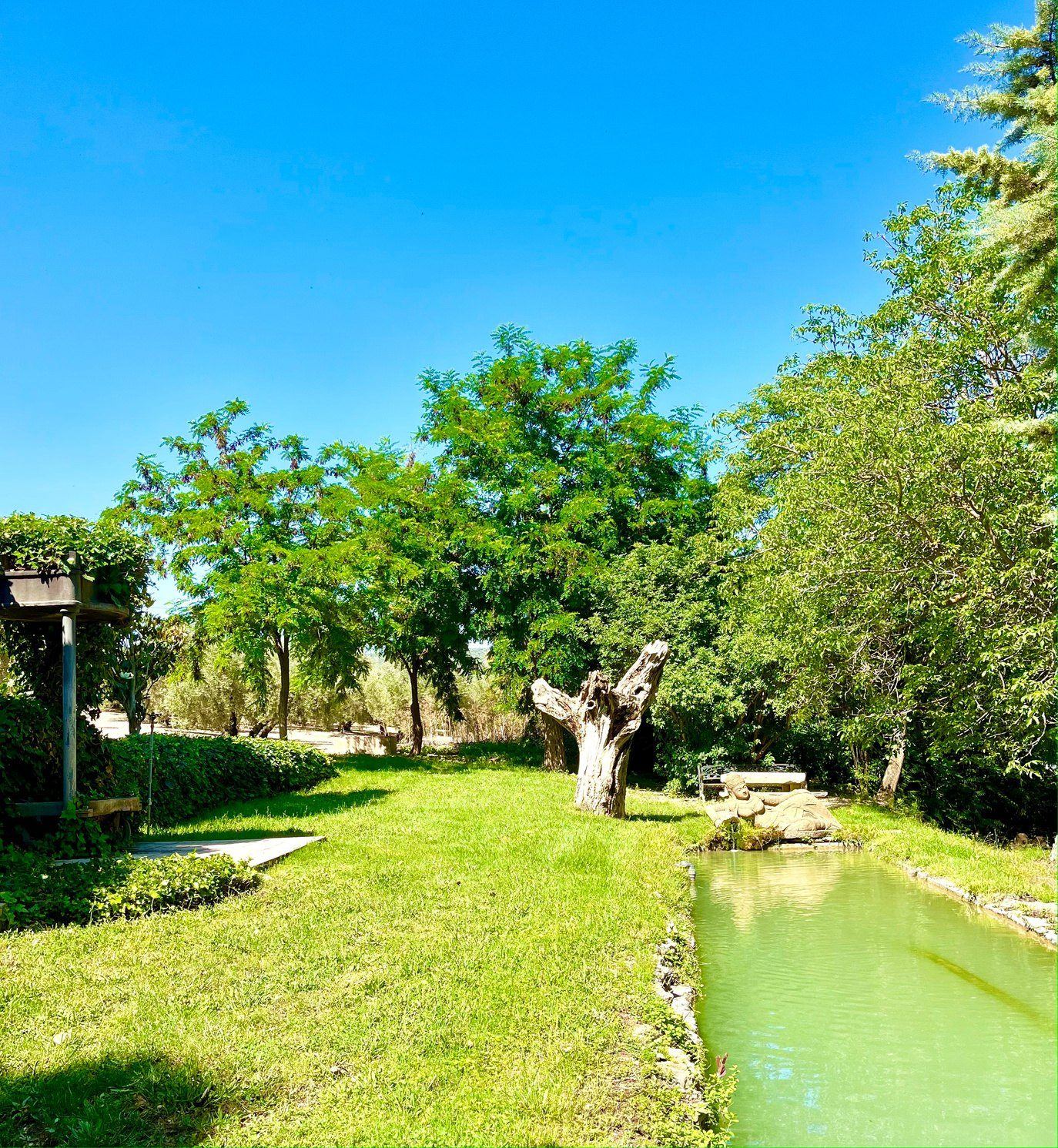 El lago