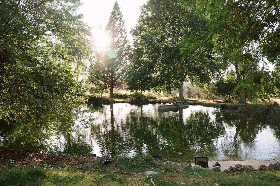 El lago entre los árboles
