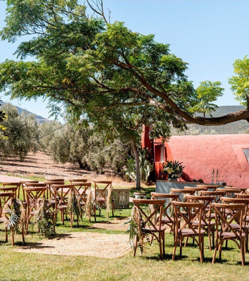 Ceremony among olive trees