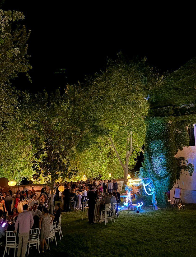 Evento nocturno con iluminación entre los árboles