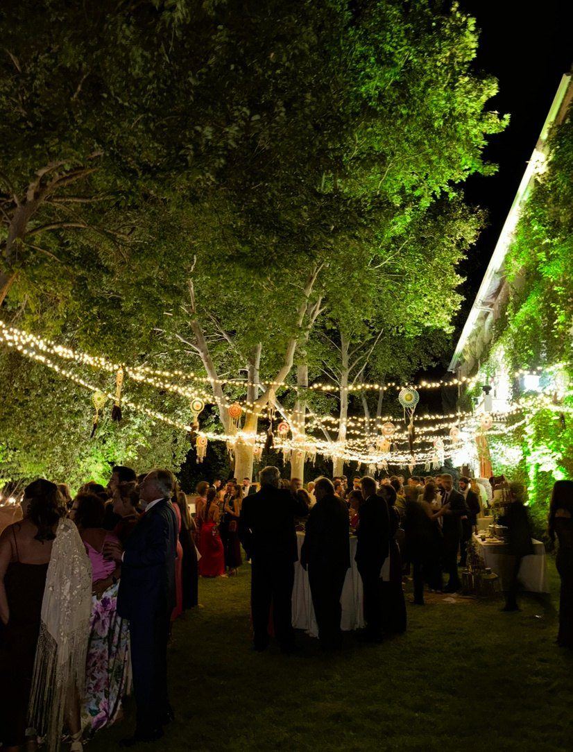 Guests under strings of lights