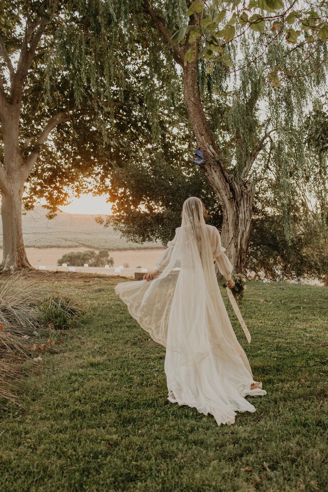 Bride under a willow tree