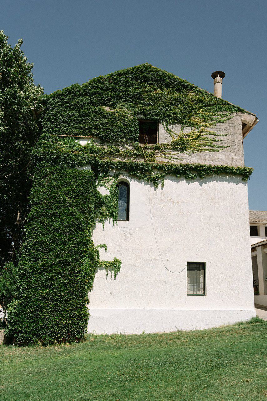 The ivy-covered tower of the house